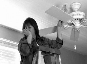 fan